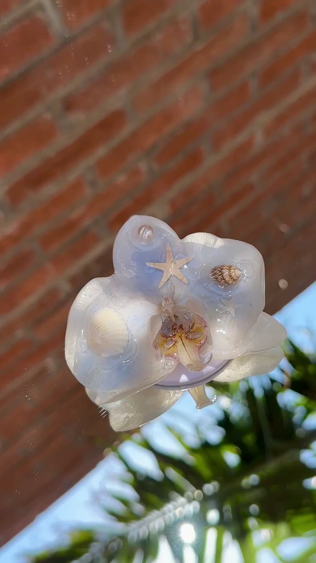Popsocket Orquídea de Mar